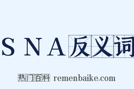 SNA反义词是什么意思的图片